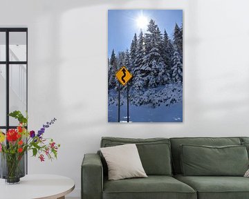 A snowy forest after the storm by Claude Laprise