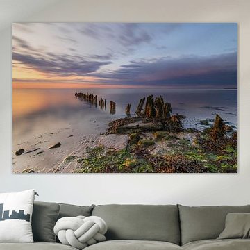 Mit Seegras bewachsene Holzpfähle am Wattenmeer bei Sonnenuntergang