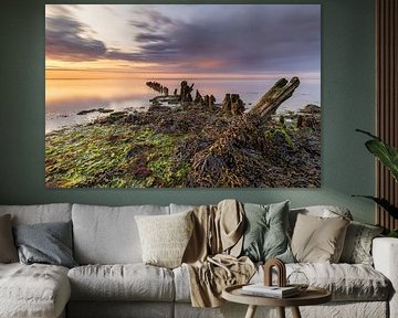 Met zeewier bedekte oude golfbreker aan de Waddenzee