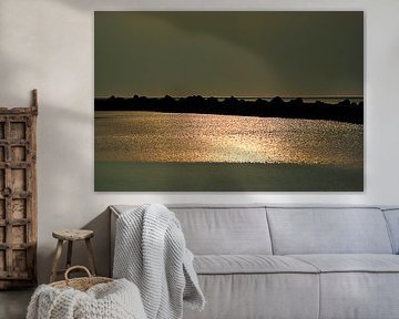 Lumière sombre nature