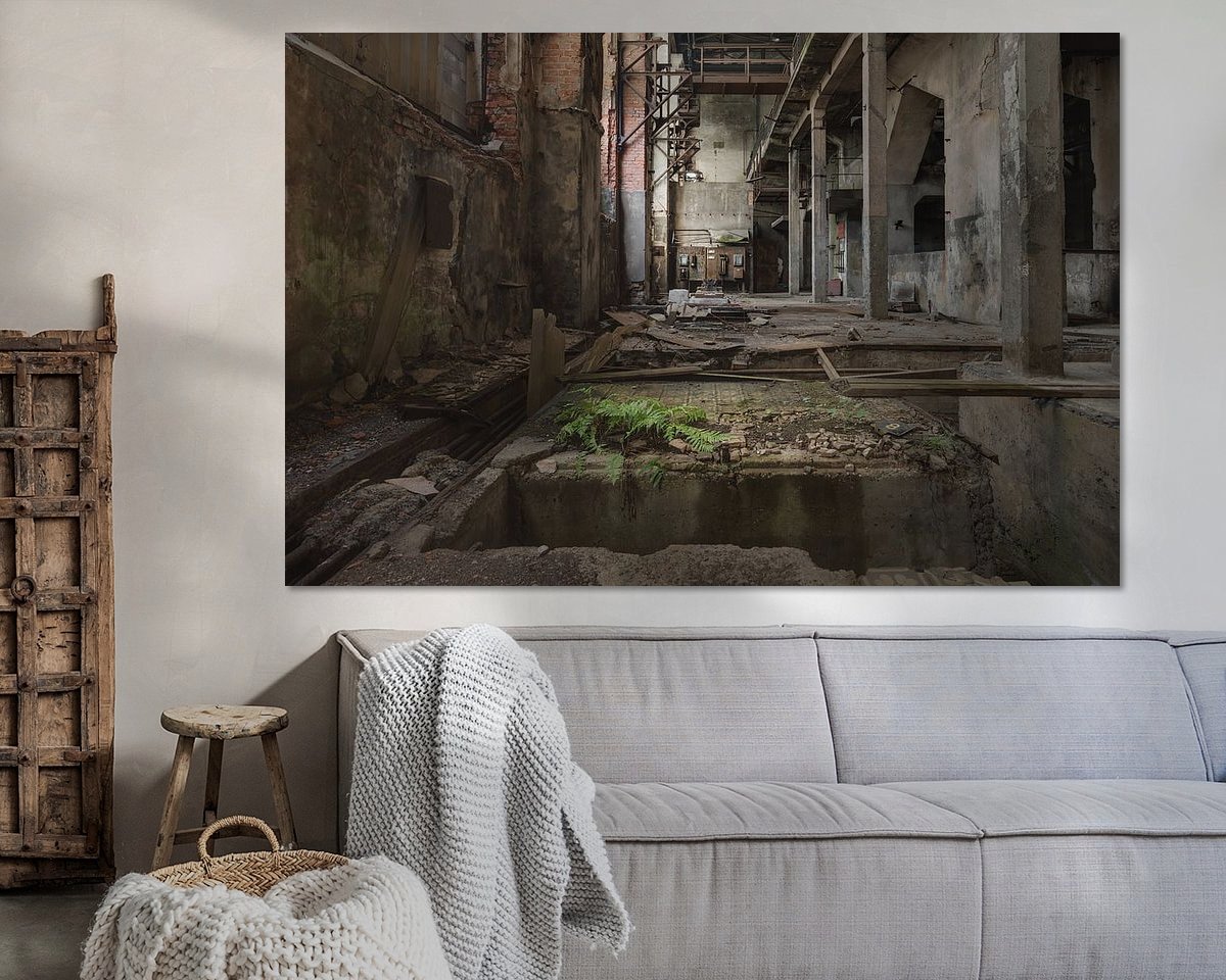 Aperçu de la chambre