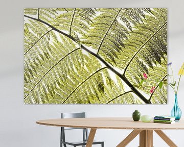 Varenblad Gefilterd Licht in Grafisch Patroon van Femke Ketelaar