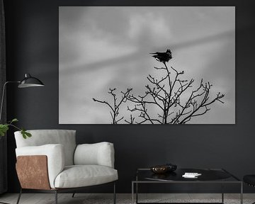 Corbeau sur une branche chauve sous un ciel menaçant