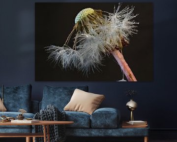 Fluff by Huub Westendorp