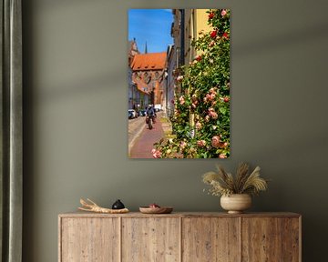 Een rozenstruik in de oude stad van Wismar van Holger Felix