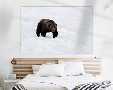 Grizzlybeer in de sneeuw – indringende blik in de wildernis van Leon Brouwer