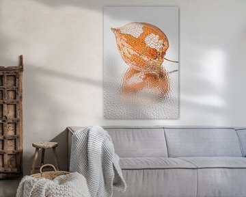 Fragiele vergankelijkheid: Lampionnetje met abstracte reflectie van Marjolijn van den Berg
