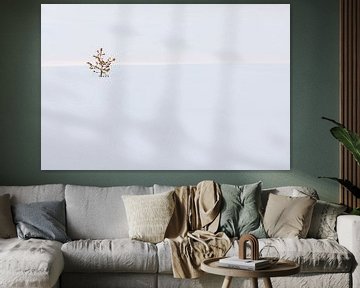 Eenzame den in sneeuw van Marika Huisman fotografie