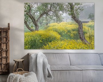 schöne Rapslandschaft von Samantha Rorijs