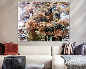 Tree Magic 54 - autumn sur MoArt (Maurice Heuts)