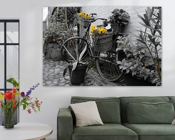 Bicycle with yellow violins