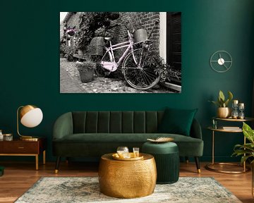 Old lilac bicycle
