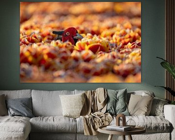 Pheasant in the tulips by Jasper Kok