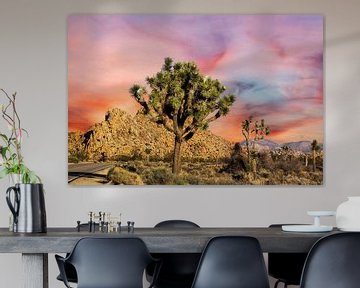 Vibrant Desert Beauty - Joshua Tree NP