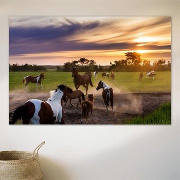 Jouer aux chevaux au coucher du soleil sur Dennis van de Water