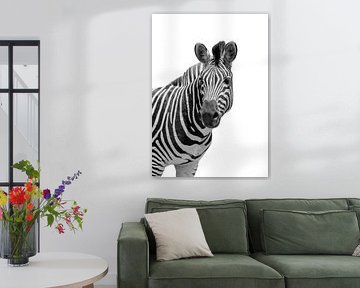 Lustiges Zebra von Vicky Hanggara