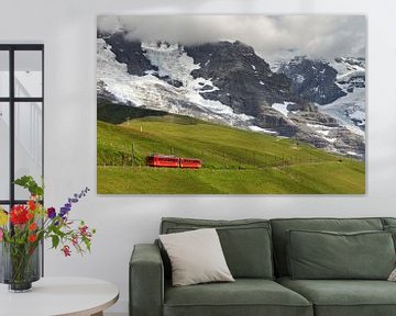 Jungfraubahn kleine Scheidegg by Dennis van de Water