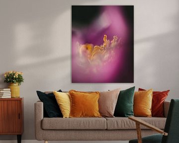 Meeldraden tussen het roze van Jan