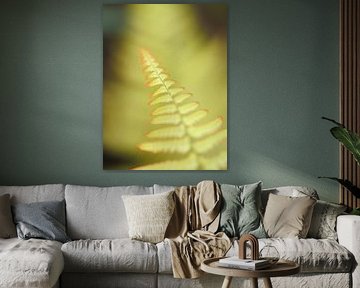 Leaf of a fern by Jan