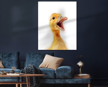 Goslings
