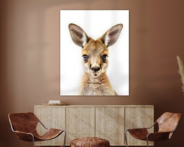 Baby kangaroo