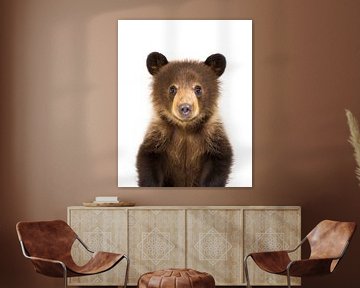 Bébé ours brun sur Christian Müringer