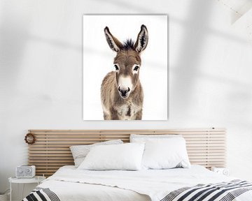 Baby donkey