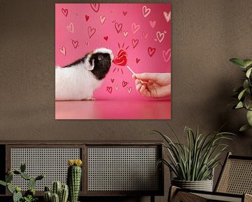 Cavia met hartjes en lolly – romantische dierenfoto met roze achtergrond van Marloes van Antwerpen