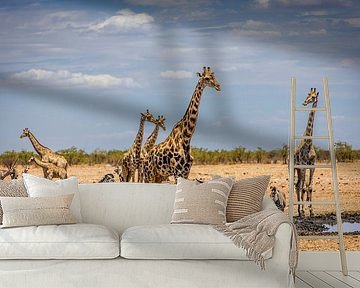 Treffen an einer Wasserstelle in Etosha, Namibia