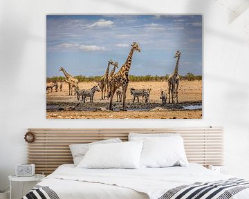 Treffen an einer Wasserstelle in Etosha, Namibia von Opmeer Reports