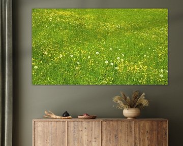 Flower meadow by Bo Valentino