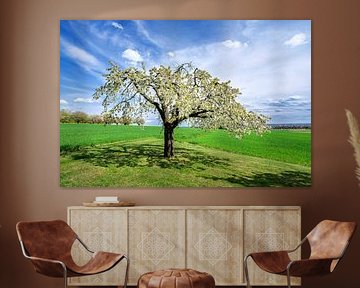 Landscape with a blossoming cherry tree