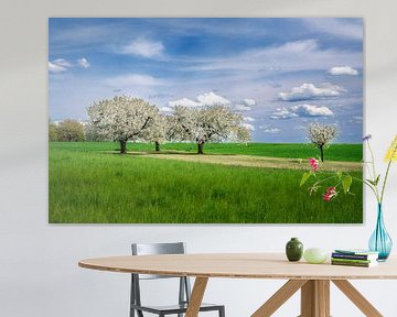Landscape with a blossoming cherry tree