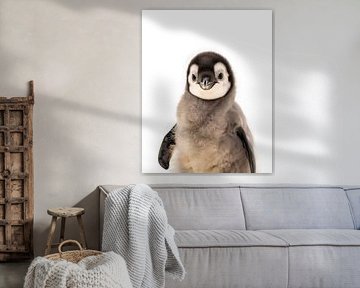 Penguin chicks