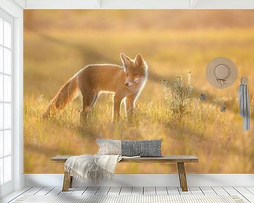 Last light of the day by Pim Leijen