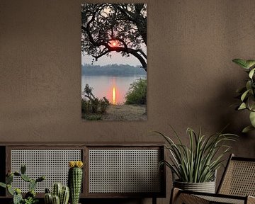 Sunset at Zambezi National Park by Eric Nagel