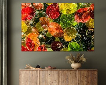 Autumn leaves and water bubbles art.
