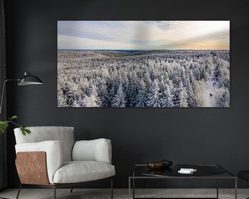 Bos bij Kaltenbronn in het Zwarte Woud in de winter van Werner Dieterich