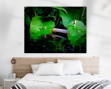 Der Frosch greift an #2