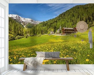 Sommerwiese und historische Bergbauernhöfe im Villgratental
