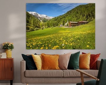 Zomerweiden en historische bergboerderijen in de Villgratental-vallei van Christian Müringer