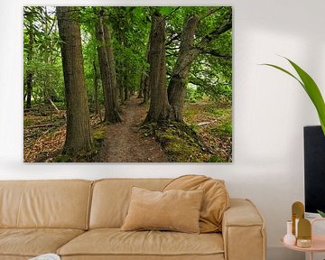 The Path of Life by Anja Oosterwaal Fine Art Fotografie