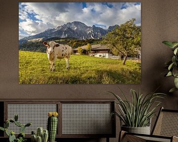 Koe in de wei bij Leogang, Salzburger Land, Oostenrijk van Christian Müringer