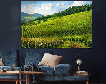 Langhe wijngaarden. Barolo en La Morra dorpen op de achtergrond van Stefano Orazzini
