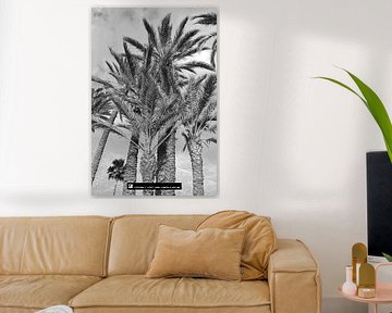 Ibiza-Baum von Karen van de Kerkhove