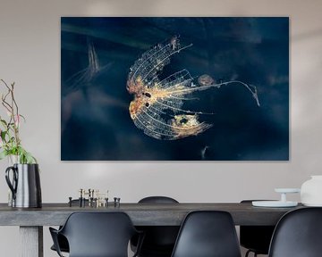 The final stage of the aquatic plant by Reinder Tasma