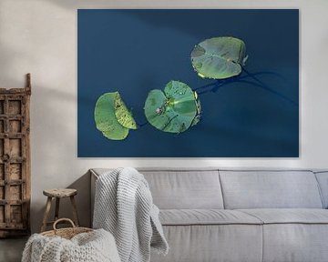 Aquatic plant 4 by Reinder Tasma