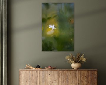 petite fleur sur Remco loeffen