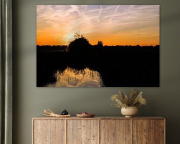 Nature's Mirage" by patrick van den Broek