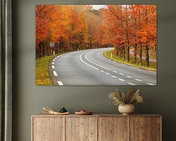 "autumn roadview" van Pascal Engelbarts